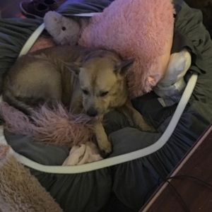 Meet your Posher, Marshall